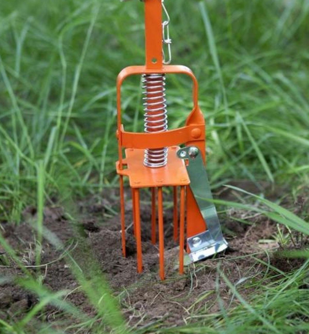 борьба с кротами